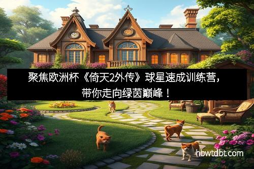 聚焦欧洲杯《倚天2外传》球星速成训练营,带你走向绿茵巅峰!