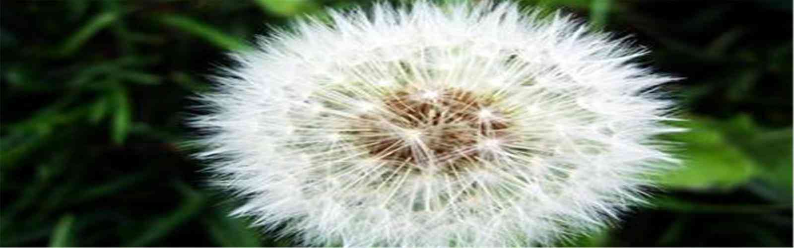 97916娱乐电子游戏